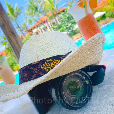 一眼レフカメラ