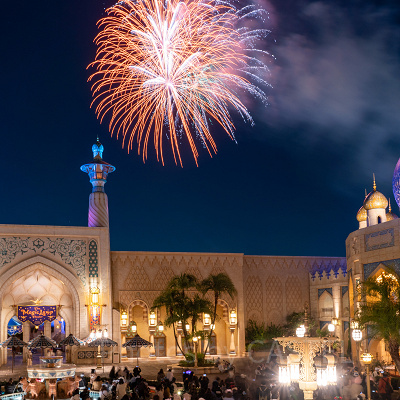 スカイ・フル・オブ・カラーズ（花火）