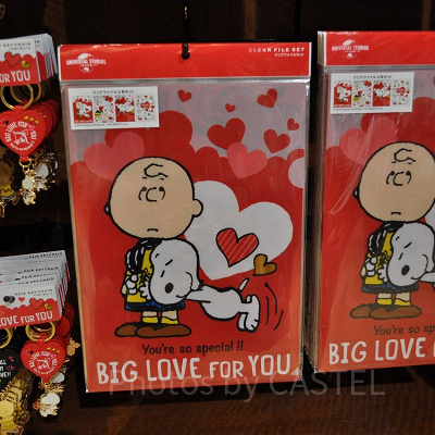 スヌーピーハートクリアファイルセット