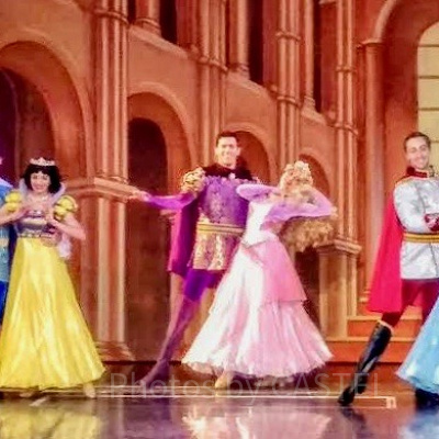 白雪姫　オーロラ姫　シンデレラとプリンス・チャーミングたち