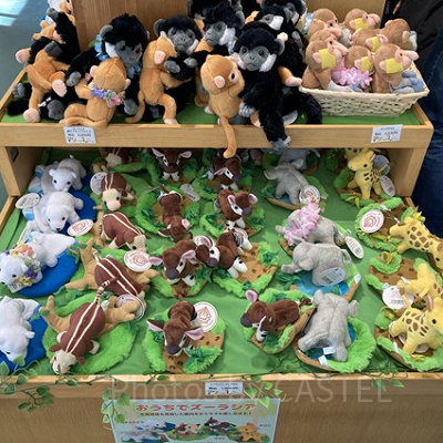 ズーラシア限定のおみやげ「おうちでズーラシア」