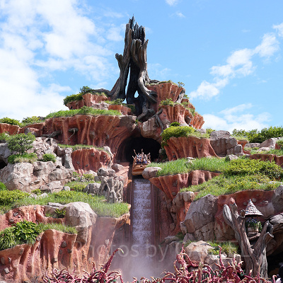 スプラッシュ・マウンテンのシングルライダー