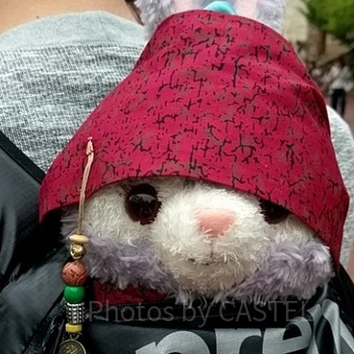 ステラ・ルーも海賊に大変身