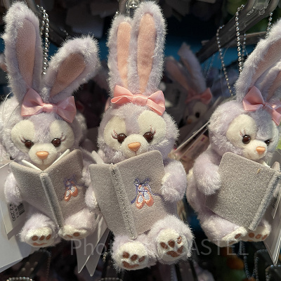 ぬいぐるみチャーム（ダッフィー＆フレンズのオータム・ストーリーブックグッズ）