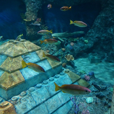 「サブマリン・アドベンチャー」