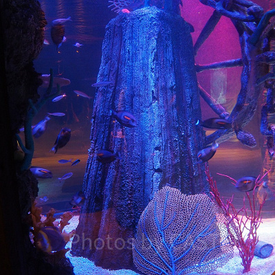 「沈没船」エリア