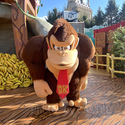 USJのドンキーコングエリアで会えるドンキーコング