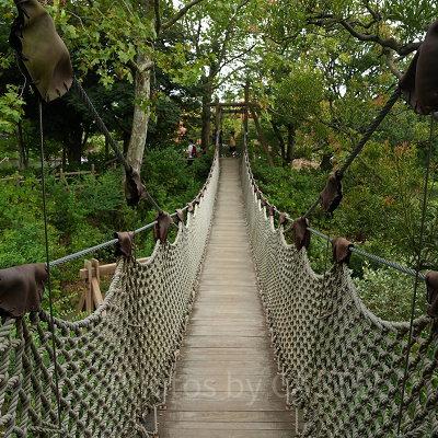 つり橋