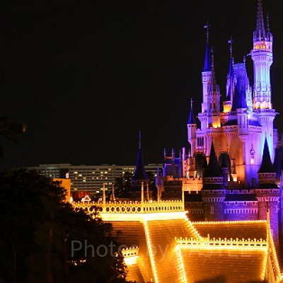 スイスファミリー・ツリーハウス①