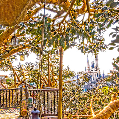 スイスファミリー・ツリーハウス