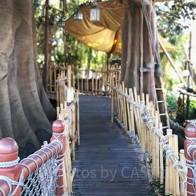  スイスファミリー・ツリーハウス