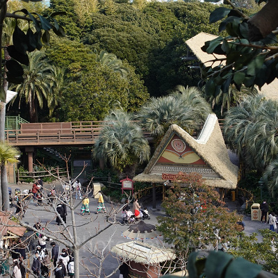 スイスファミリー・ツリーハウス：アドベンチャーランドを一望できる