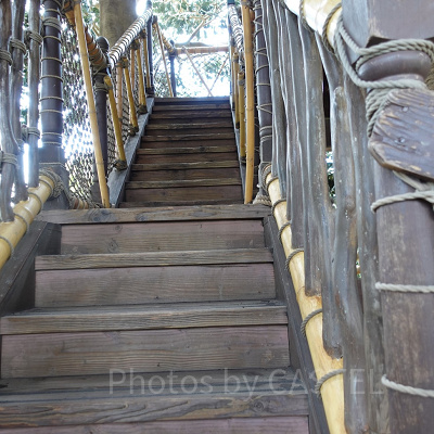 スイスファミリー・ツリーハウス：上へとつながる階段