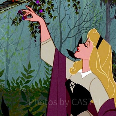 「眠れる森の美女」のあらすじ