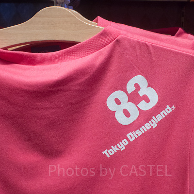 Tシャツ（ディズニーランド／背）