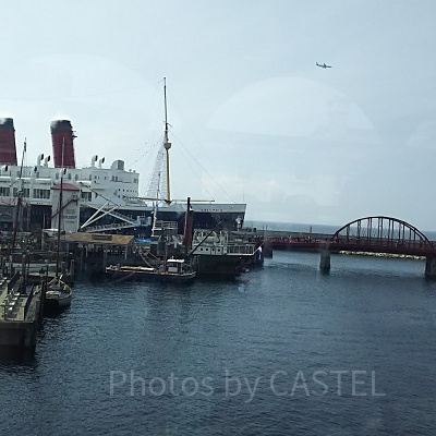 ディズニーシー・エレクトリックレールウェイ乗車中に撮影