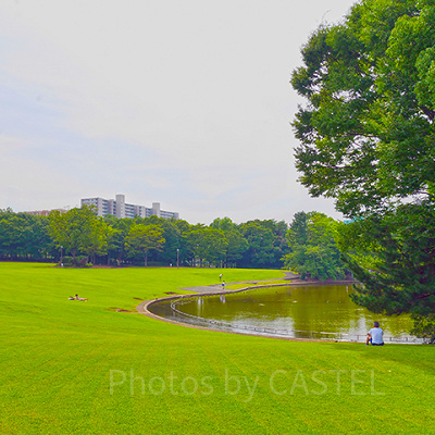 多摩中央公園