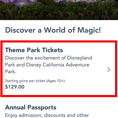 「テーマパークチケット」の項目をタップ