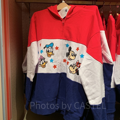 チームディズニーパーカー2019