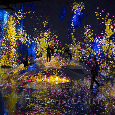 チームラボボーダレスお台場のアート作品紹介