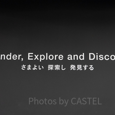 チームラボ　ボーダレスお台場　入り口