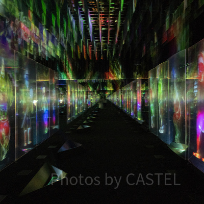 チームラボ　ボーダレスお台場