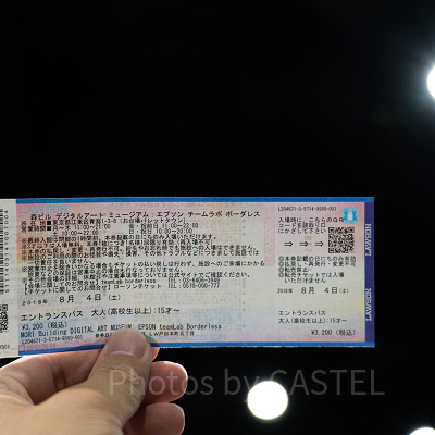 チームラボ ボーダレスお台場 チケット