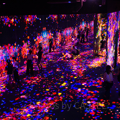 チームラボ　ボーダレスお台場の幻想的な空間