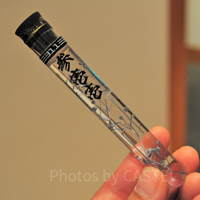 胡蝶しのぶに渡す試験管