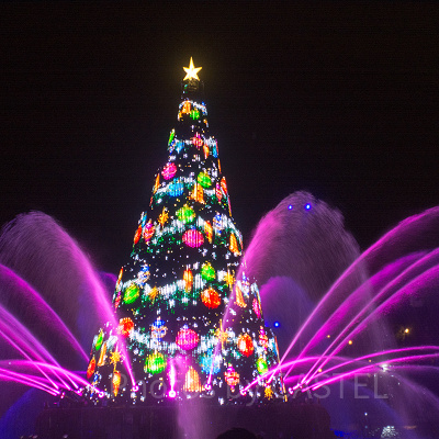ハーバーに浮かぶカラフルなツリーは必見☆