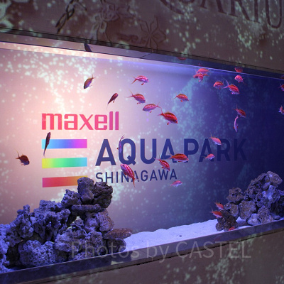 水槽の魚もテーマごとに変わります