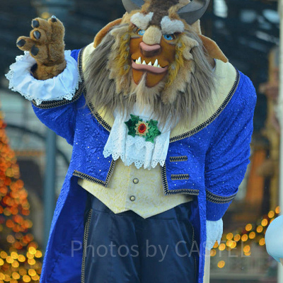 美女と野獣に登場する主役の野獣