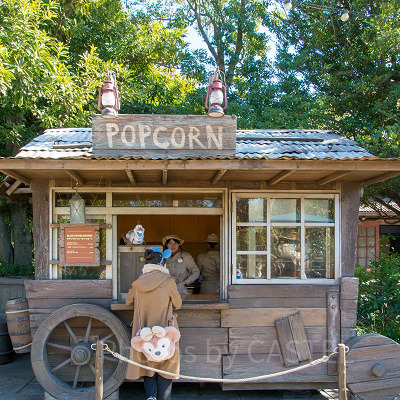 ハンガーステージ横のポップコーンワゴン