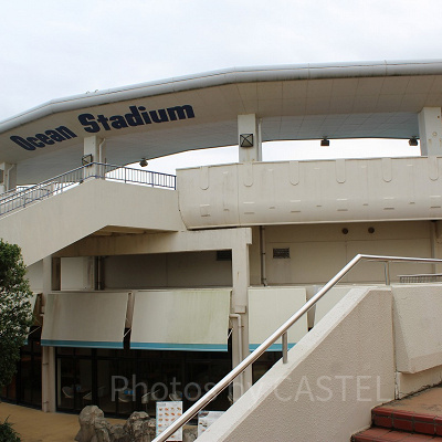 ショー会場は屋根付きなので雨でも安心