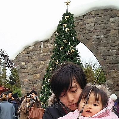 ハリー・ポッターエリアのツリーは魔法がかかっている