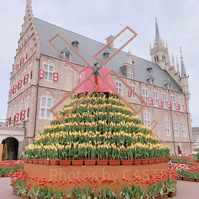 日本のテーマパークは意外と広い！