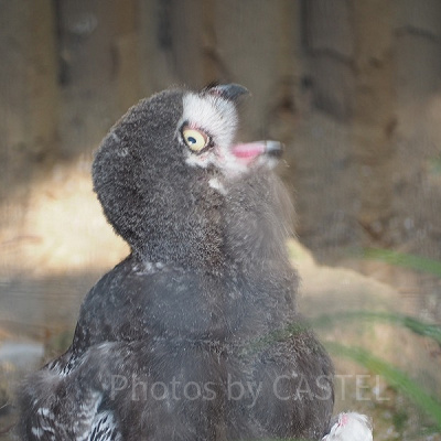 動物園内には可愛い動物がたくさん！