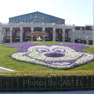 チケットの値段推移