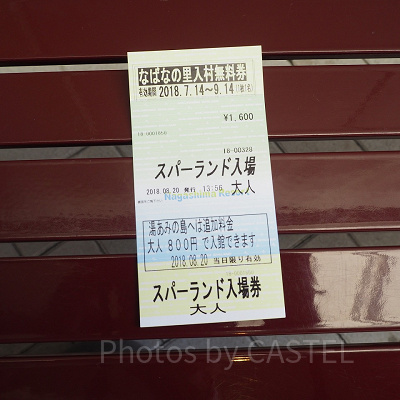 ナガシマスパーランドのチケット