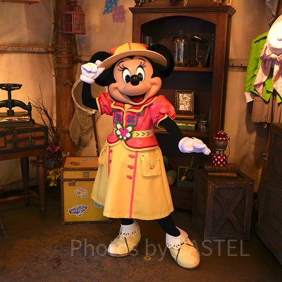 ディズニーのグリーティングを楽しむコツ!