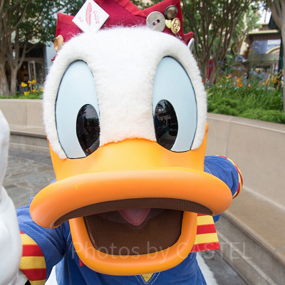 ディズニープラスをテレビで見る際の注意点