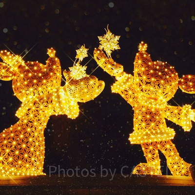 東京ディズニーリゾート（TDR）