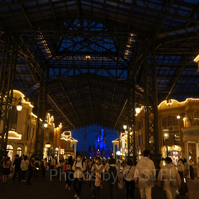 夜の東京ディズニーランド