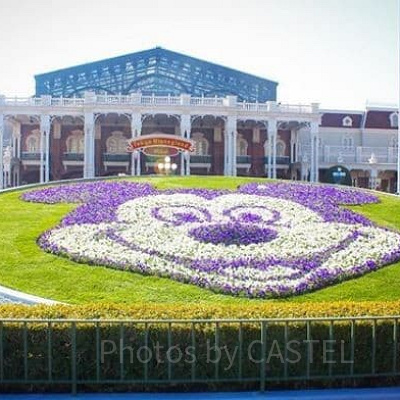 東京ディズニーランドのエントランス