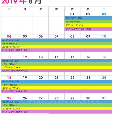 東京ディズニーランドの休止＆リハブカレンダー（2019年8月）