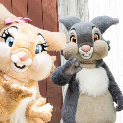 とんすけ、ミス・バニー