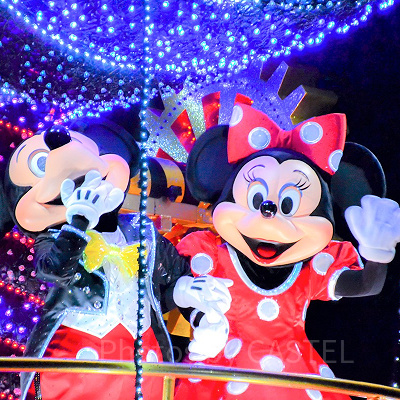 トータリー・ミニーマウスの予想