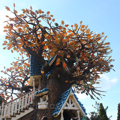 ツリーハウス部分