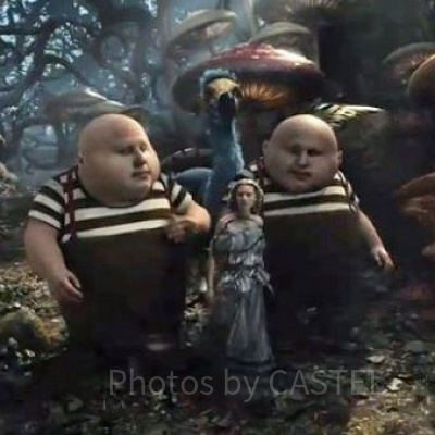 トウィードルディーとトウィードルダム