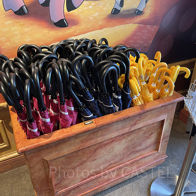 傘はもっとも手軽